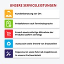 AsVIVA [B13SF-T_W_17,5] PEDELEC - Produktansicht